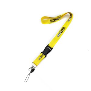 Lanyard - Fake Taxi